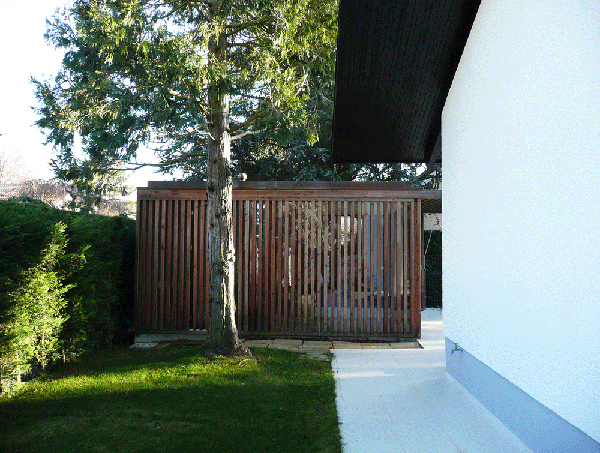 THONEX 1
